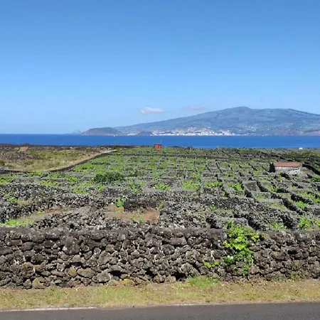 Casa Da Ilha Дом отдыха